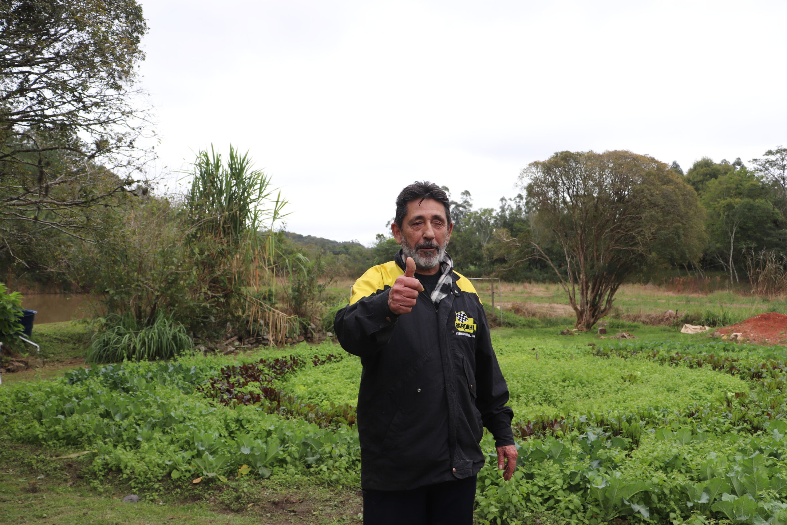 10 Benefícios Da Agricultura Orgânica - Naturvida Mercado Saudável