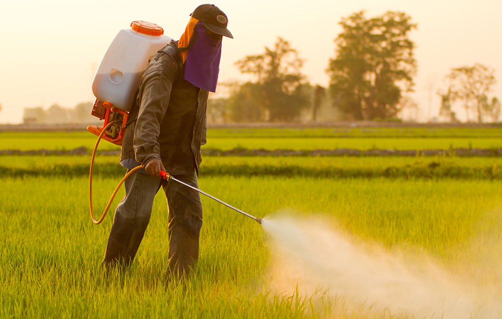 Agrotóxicos nos alimentos, uma preocupação que precisamos ter