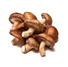 Cogumelo Shiitake: Uma Delícia Repleta de Benefícios