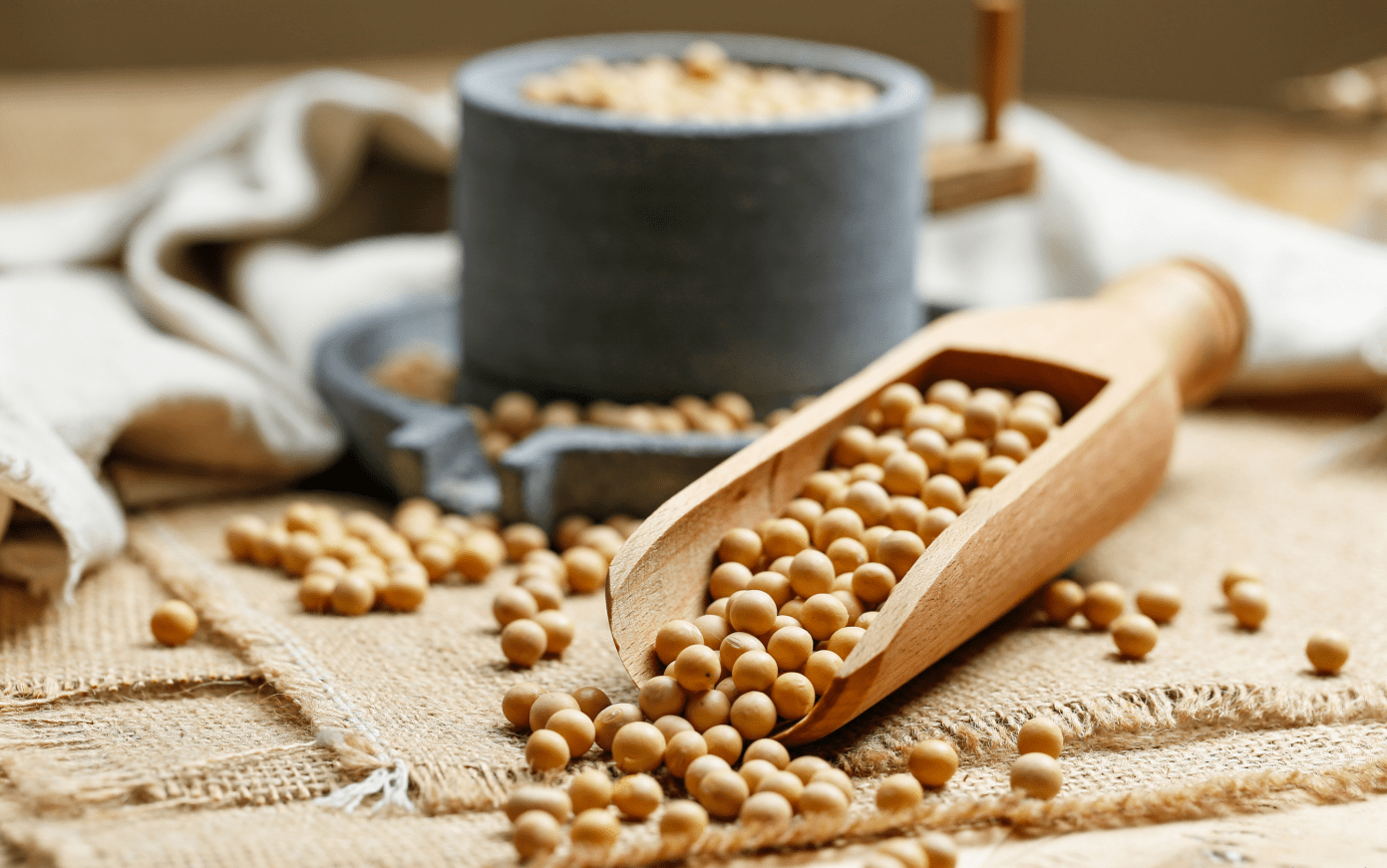 Proteína de Soja: Uma Alternativa Saudável e Sustentável